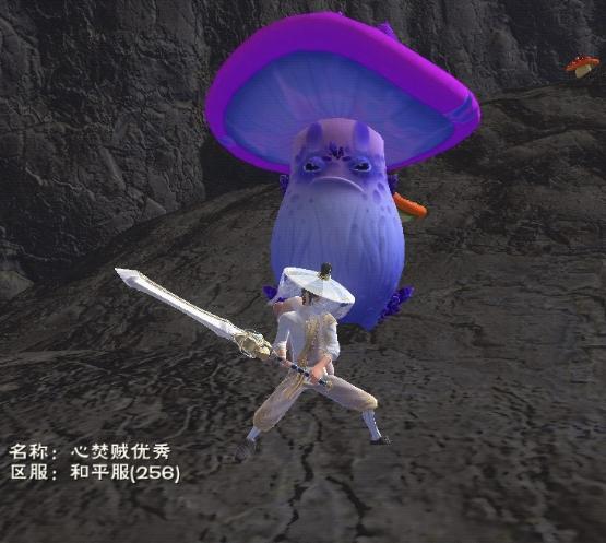 [图片]