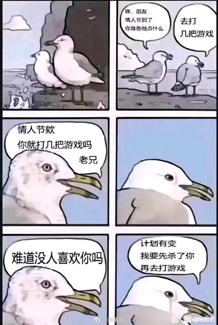 [图片]
