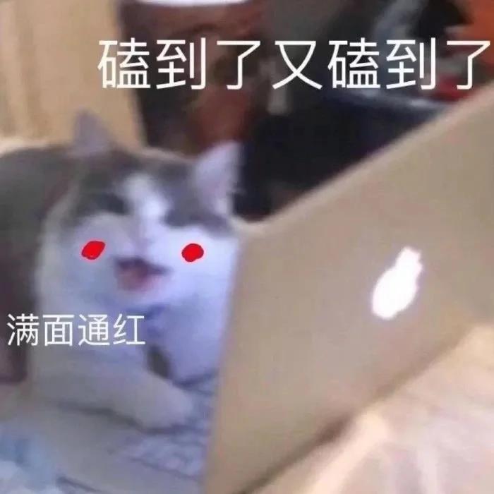 [图片]