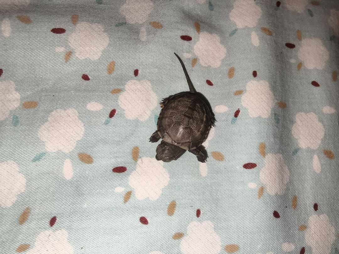 [图片]