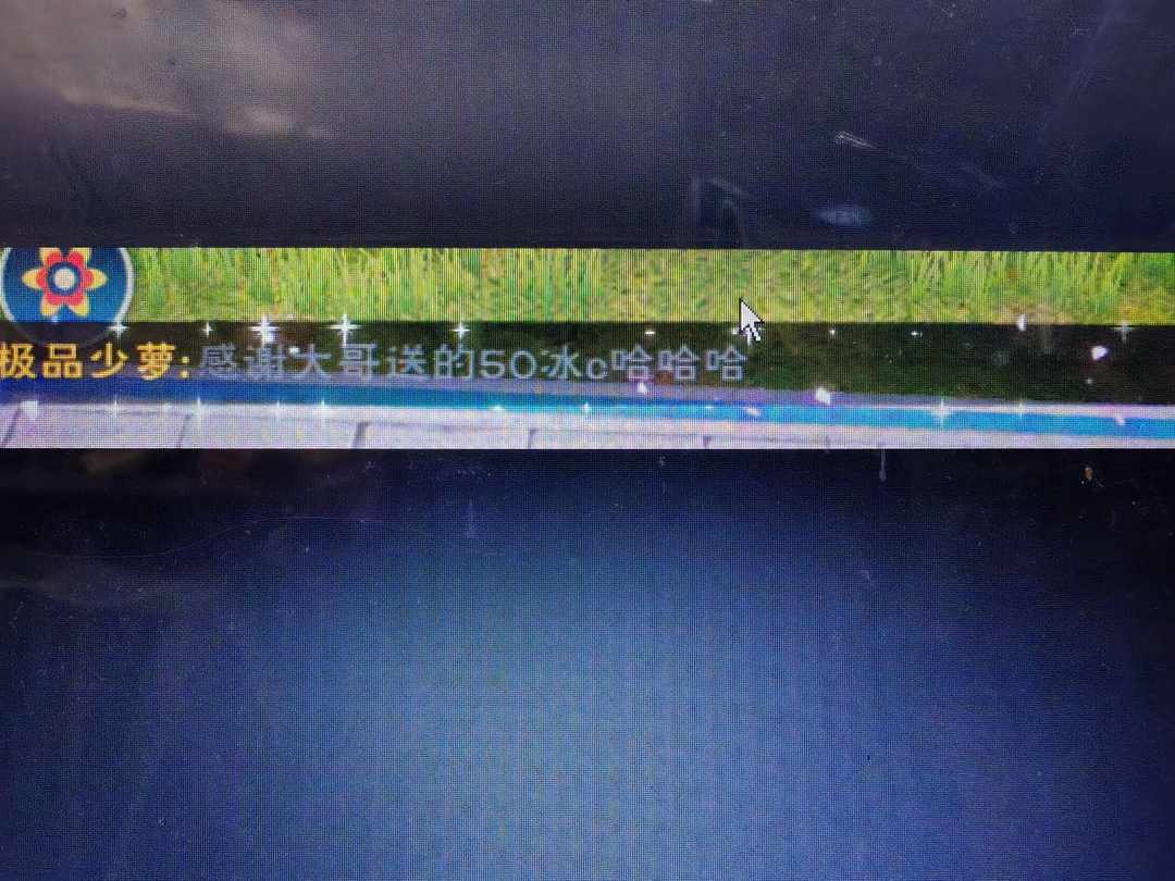 [图片]