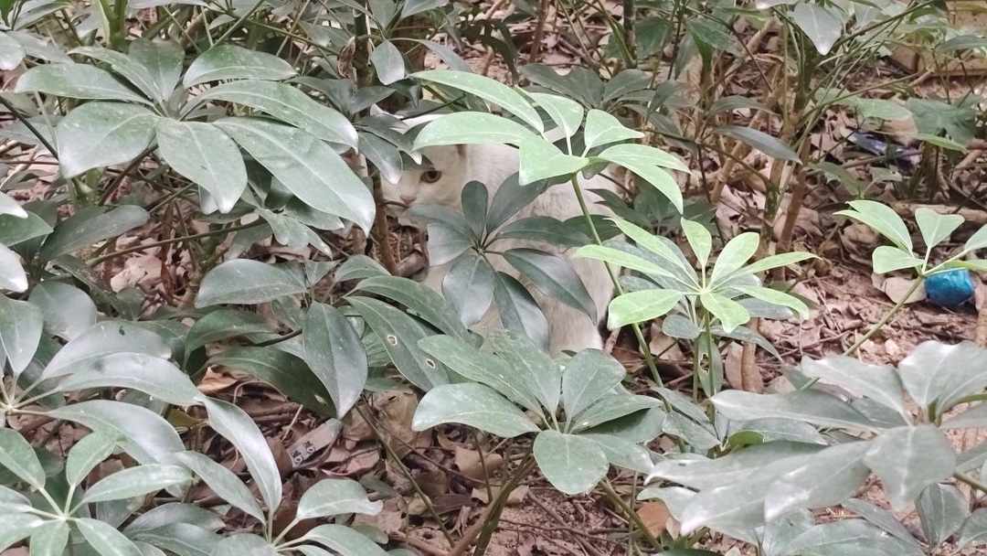 [图片]