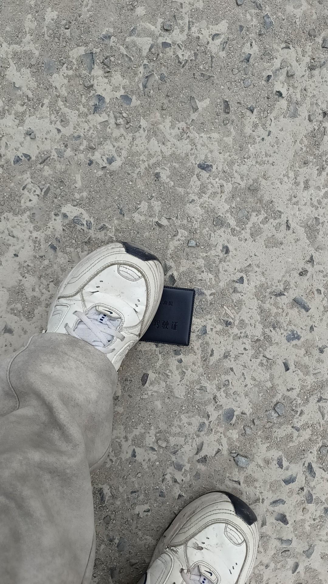 [图片]