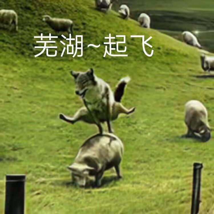 [图片]