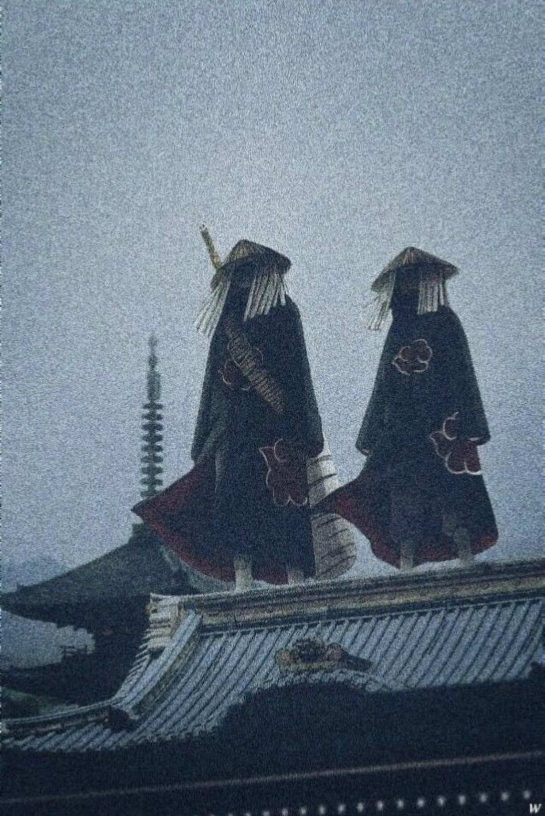 [图片]