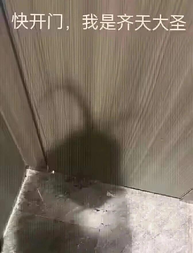 [图片]
