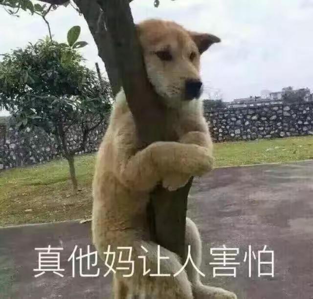 [图片]