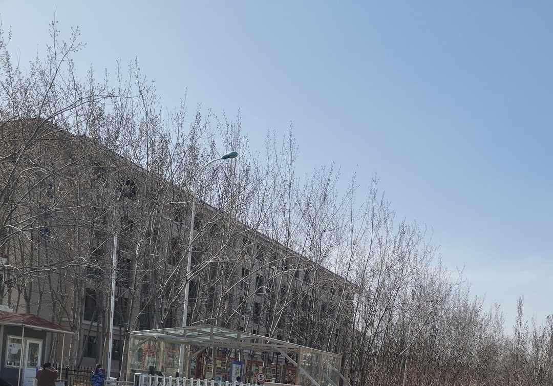 [图片]