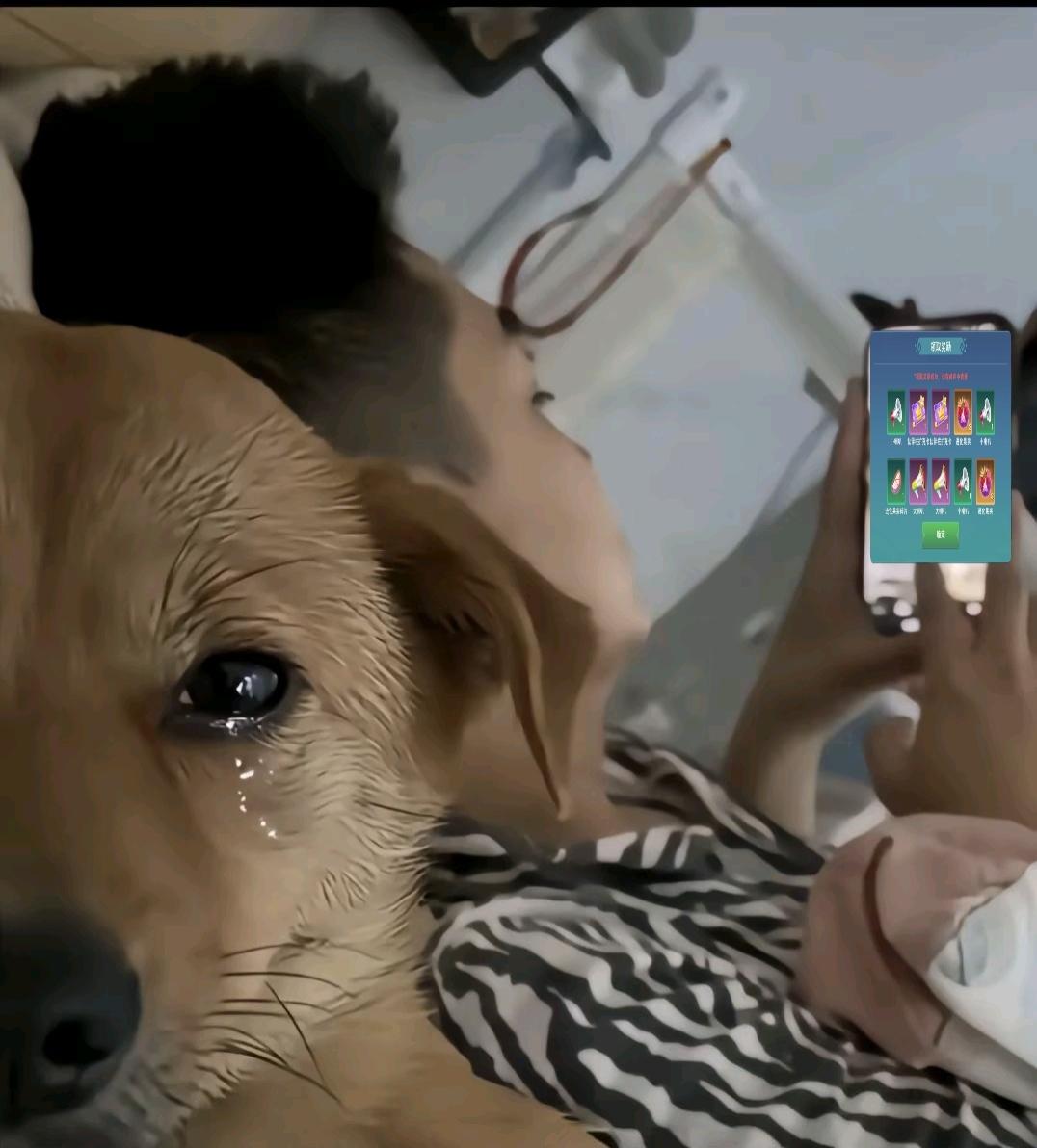 [图片]