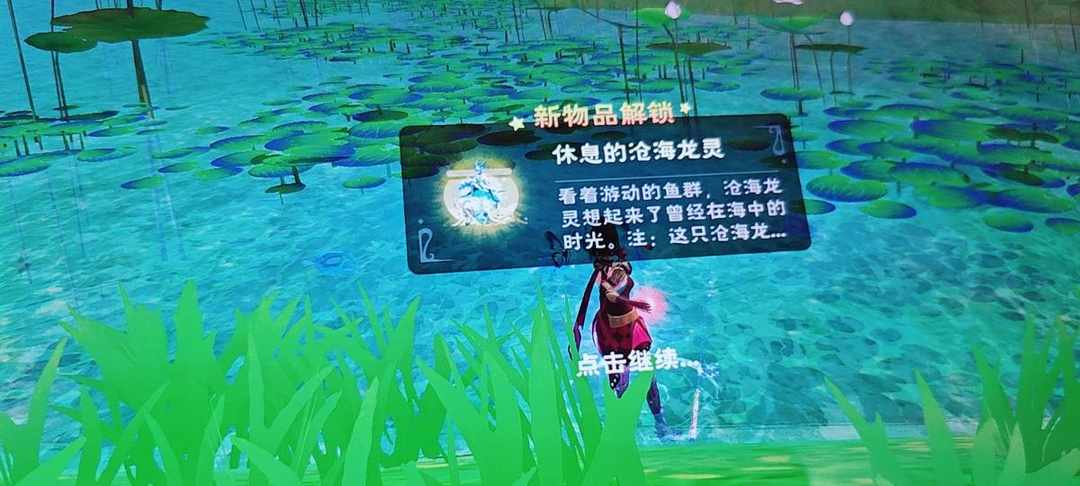 [图片]