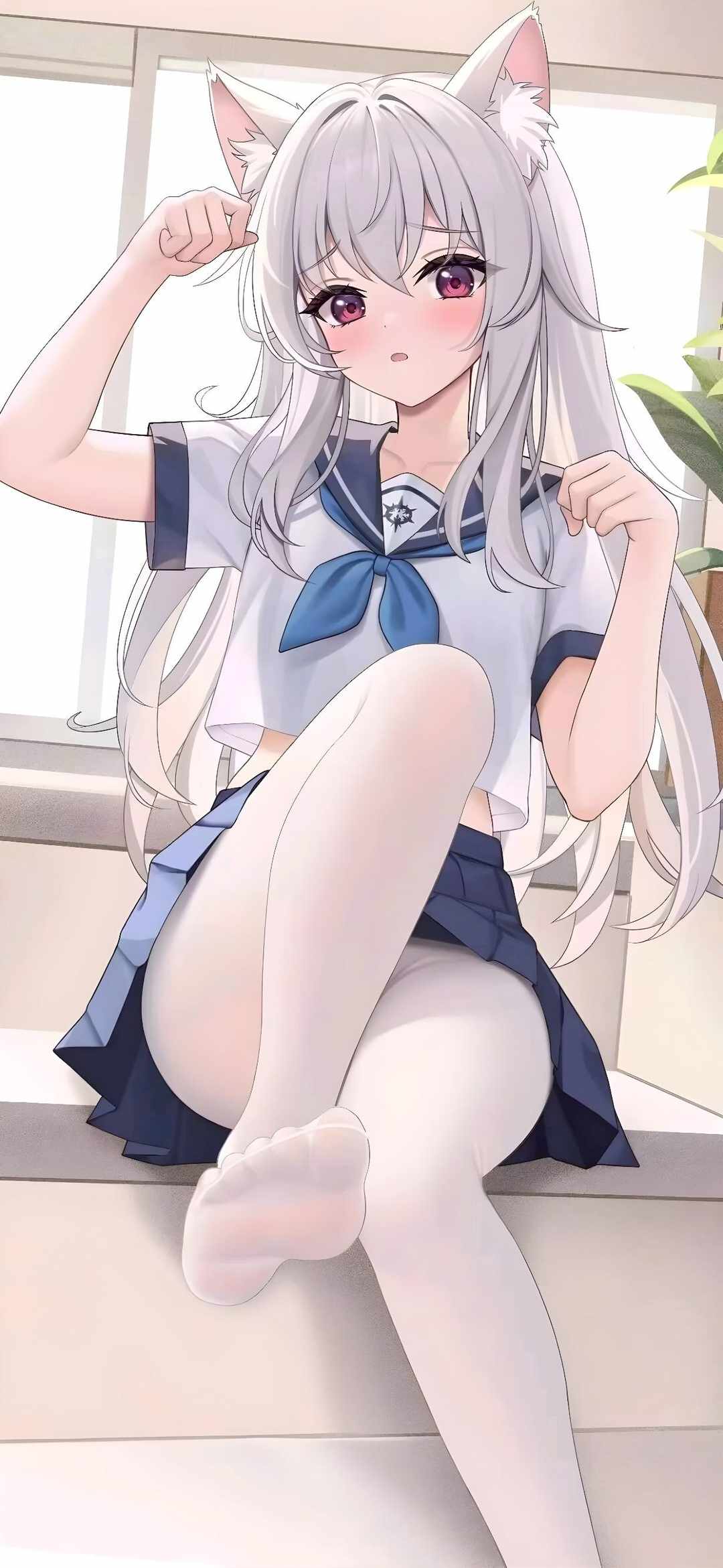[图片]