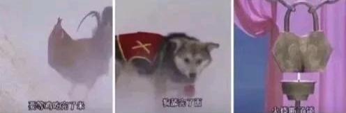 [图片]
