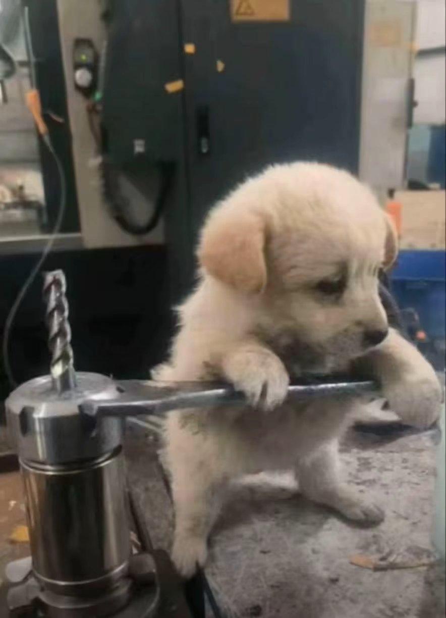 [图片]