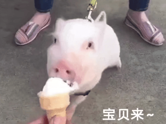 [图片]