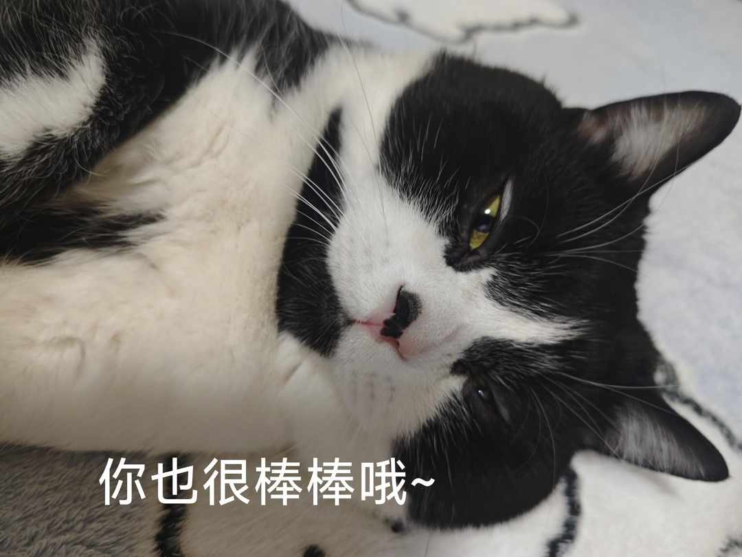 [图片]