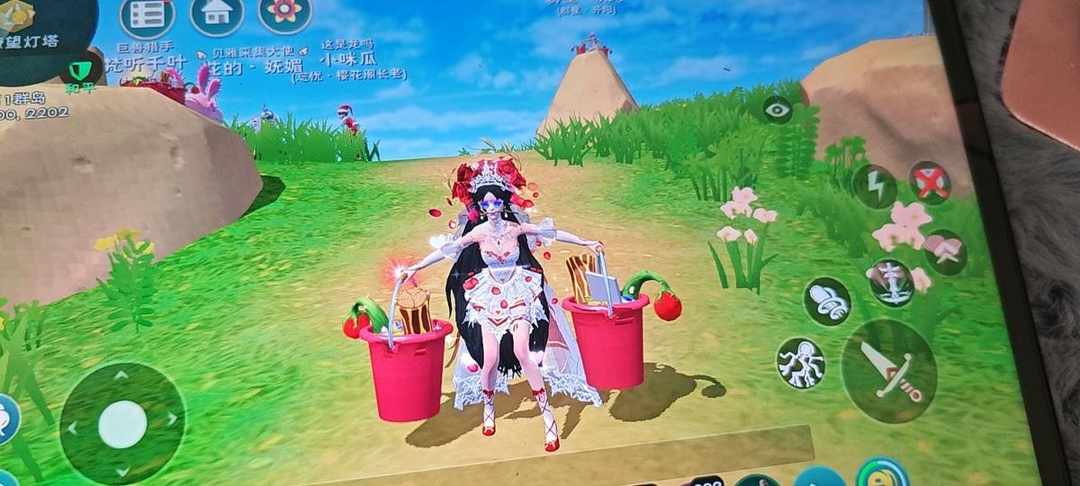 [图片]