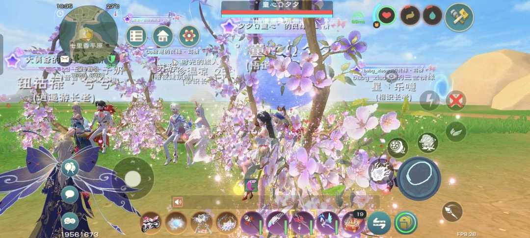[图片]