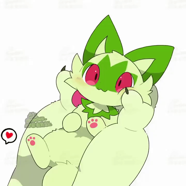 [图片]