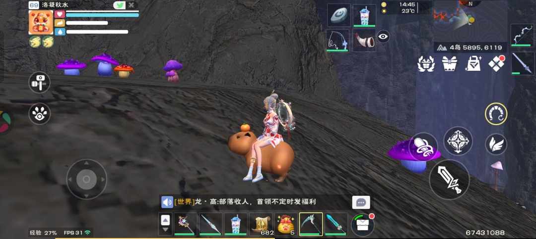 [图片]