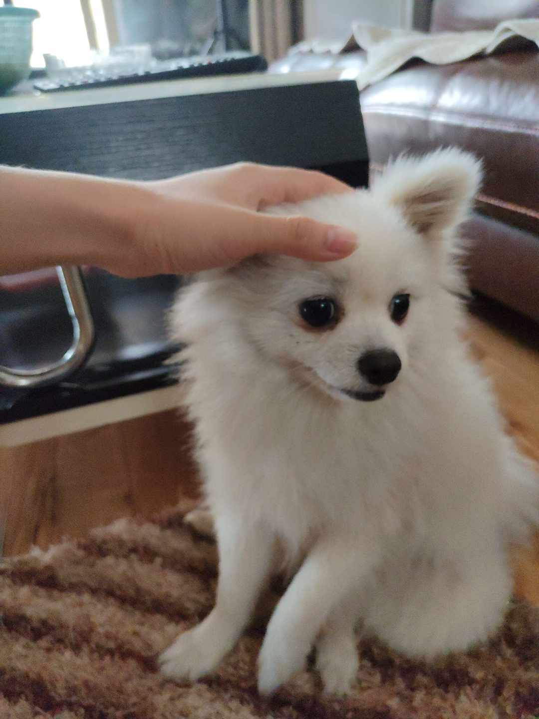 [图片]