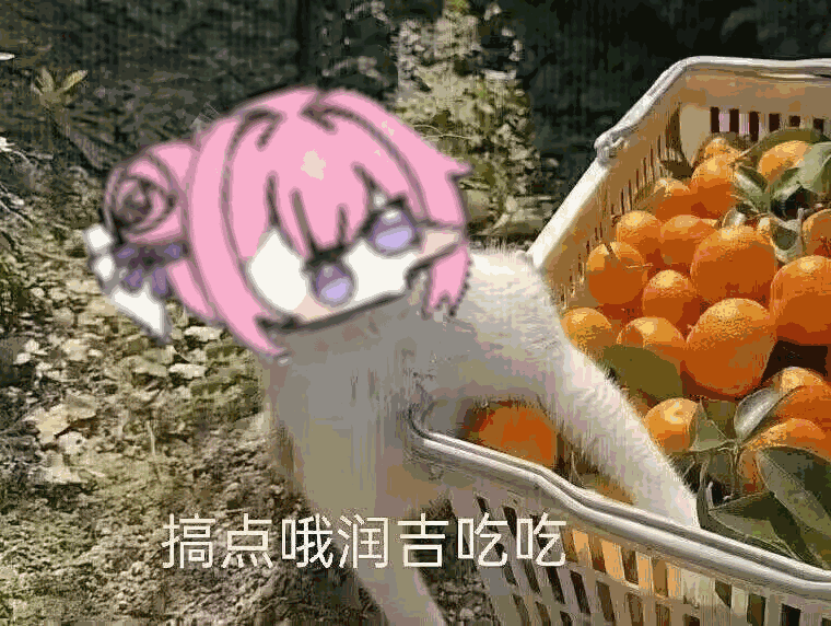 [图片]