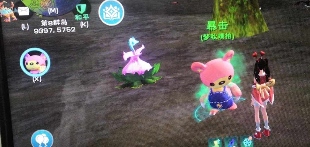 [图片]