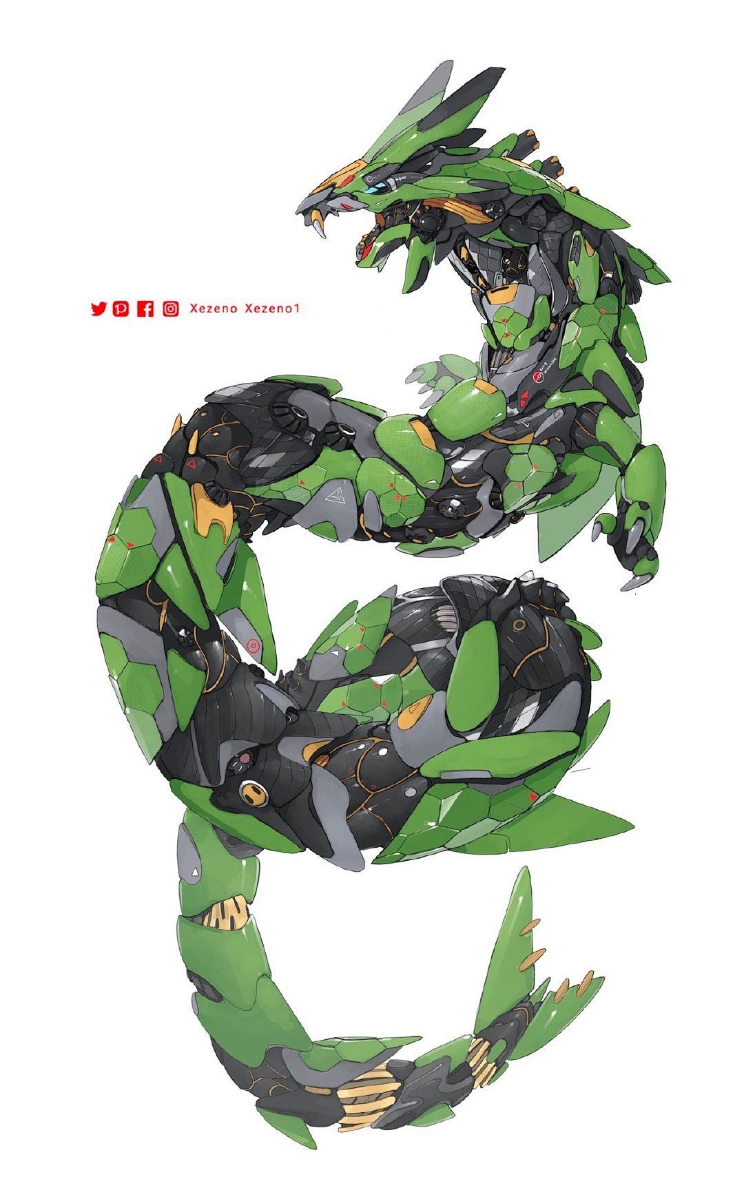 [图片]