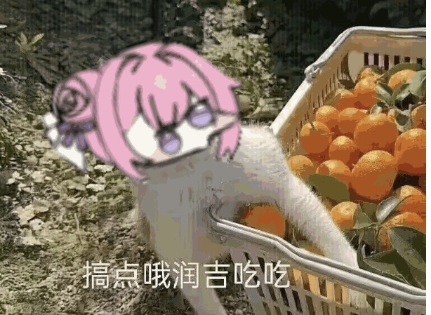 [图片]