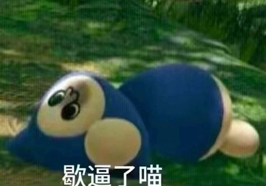 [图片]