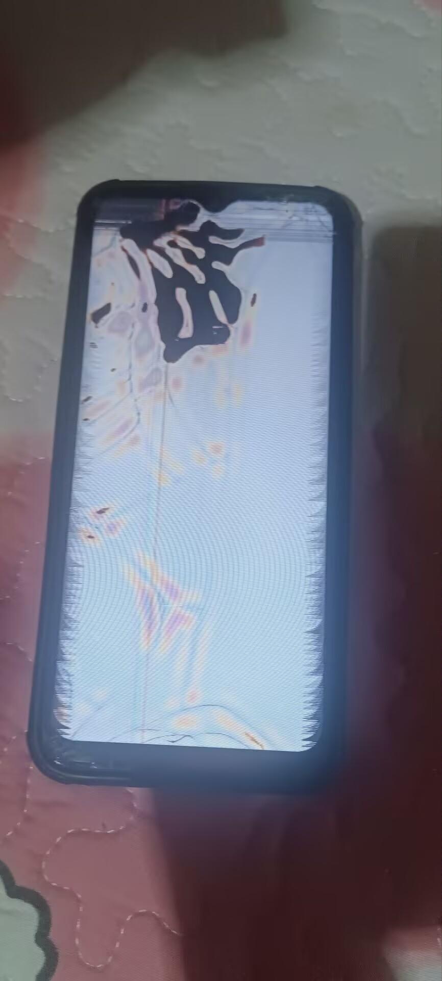 [图片]