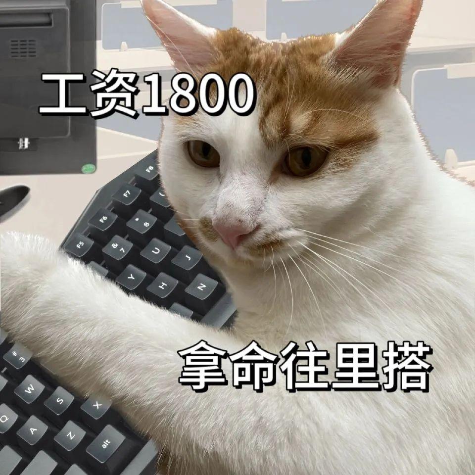 [图片]