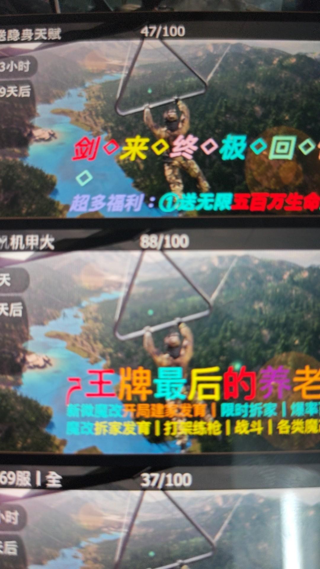 [图片]
