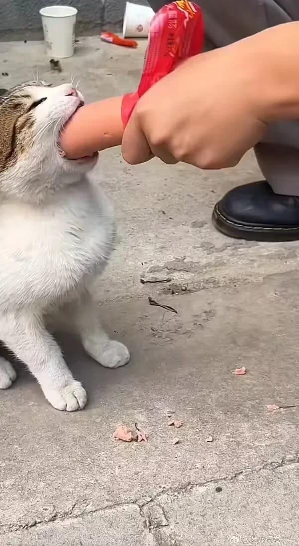 [图片]