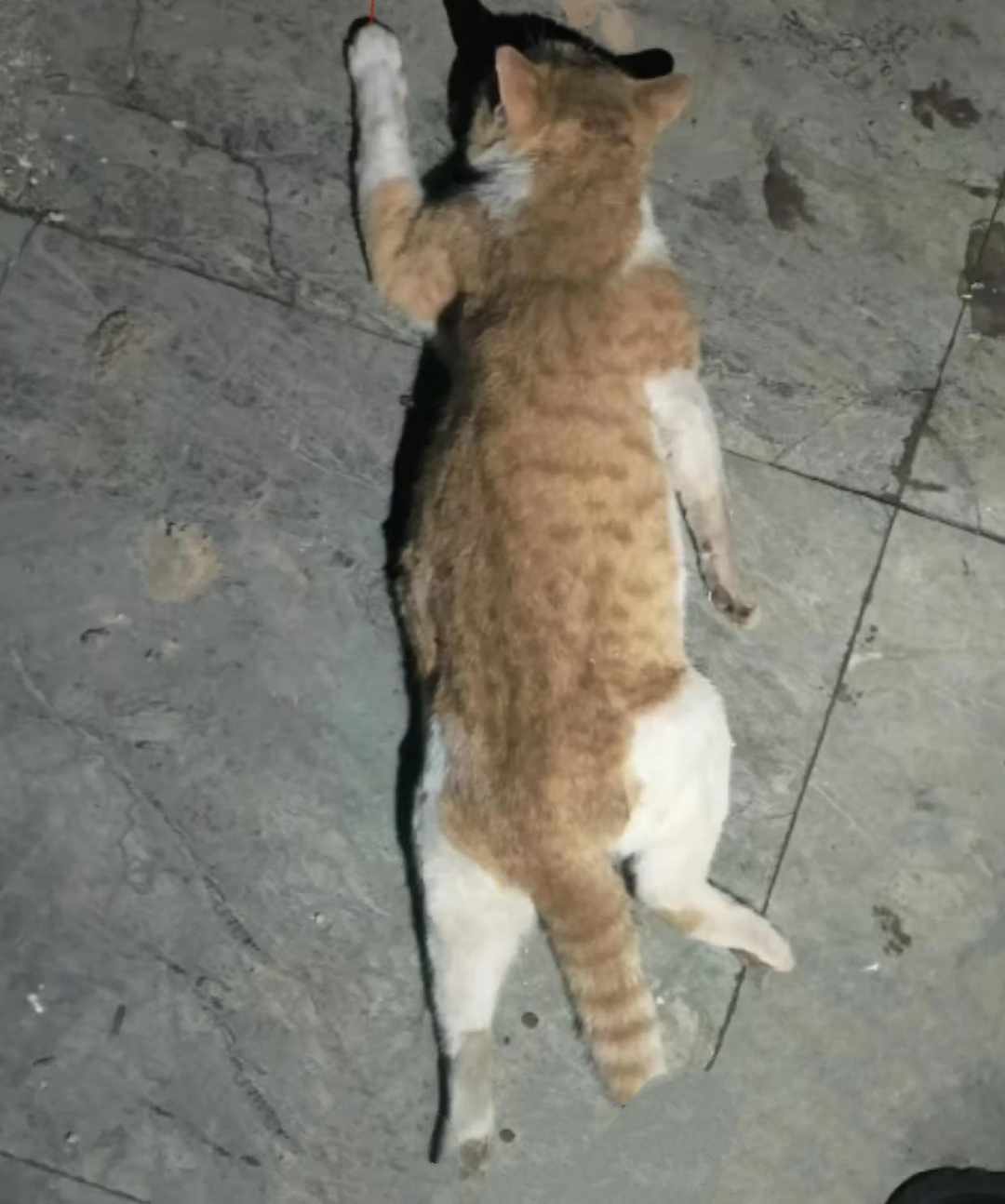 [图片]