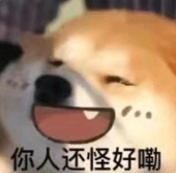 [图片]