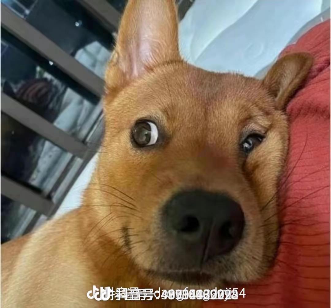 [图片]