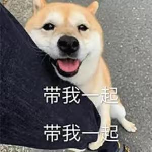 [图片]
