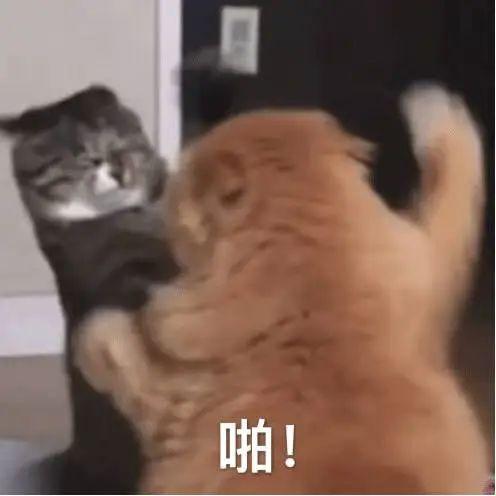 [图片]