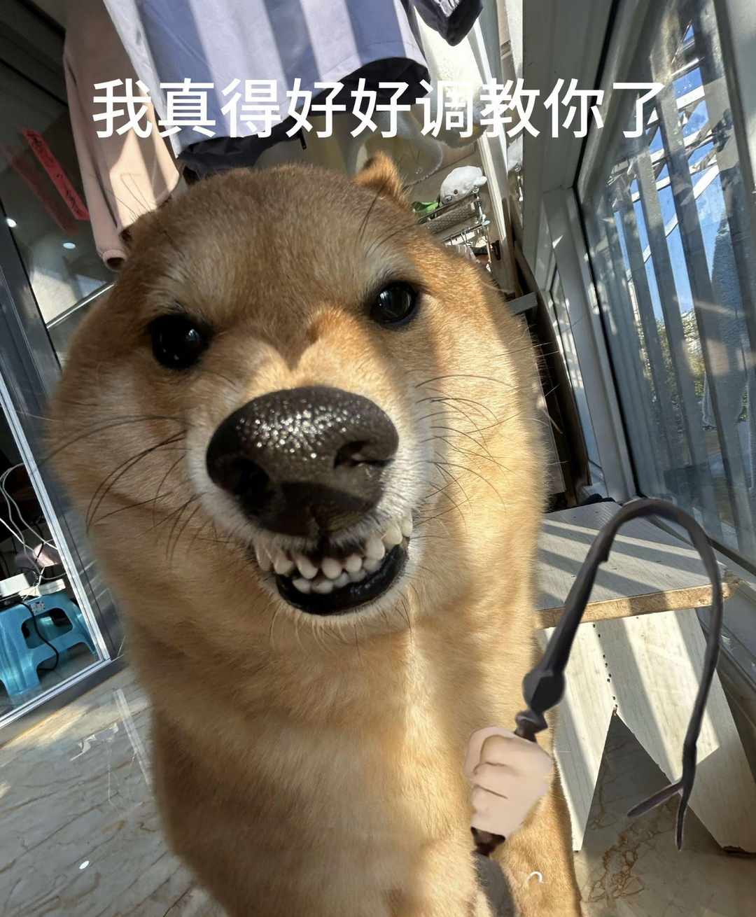 [图片]