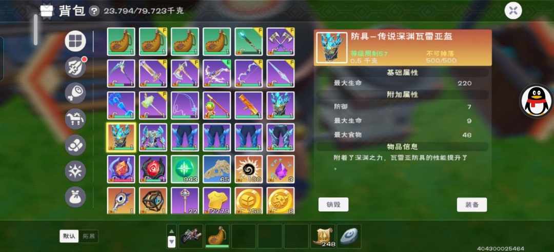 [图片]