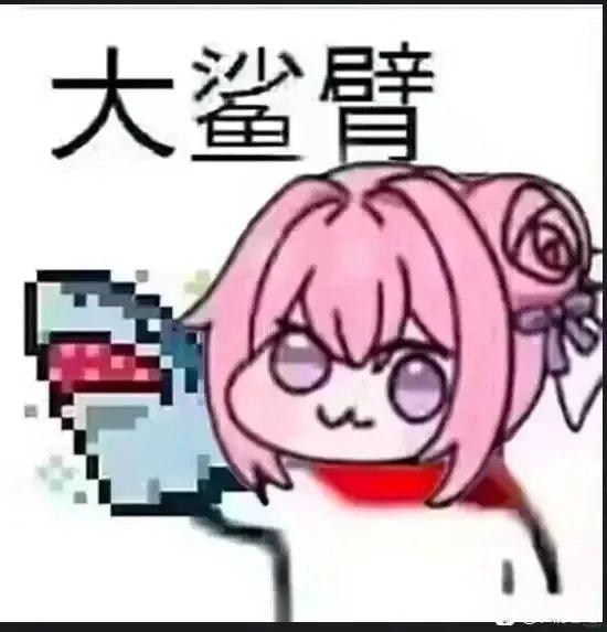 [图片]