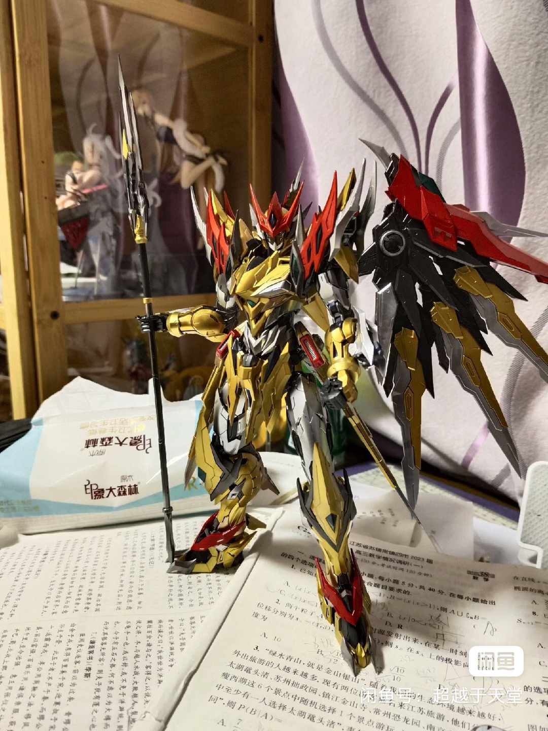 [图片]