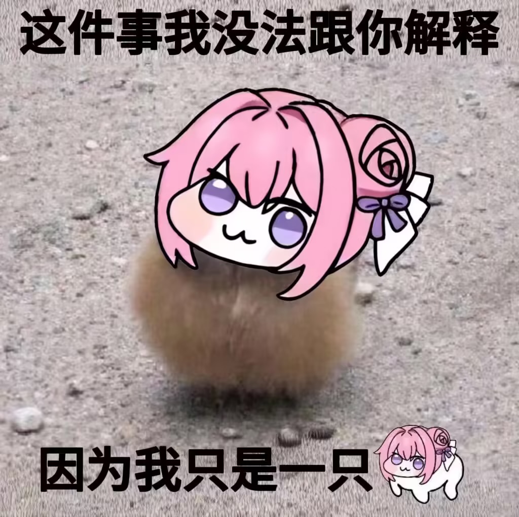 [图片]