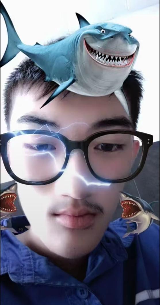 [图片]