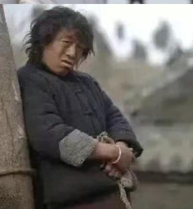 [图片]