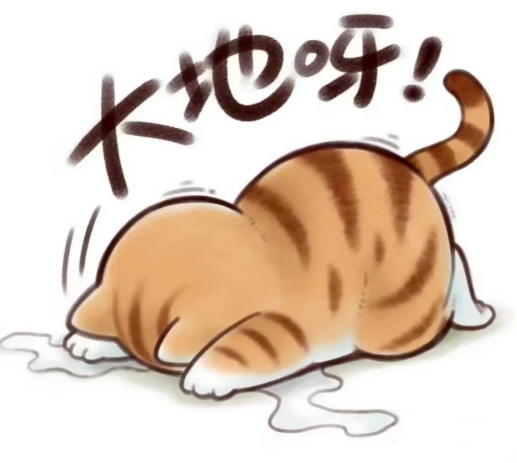 [图片]