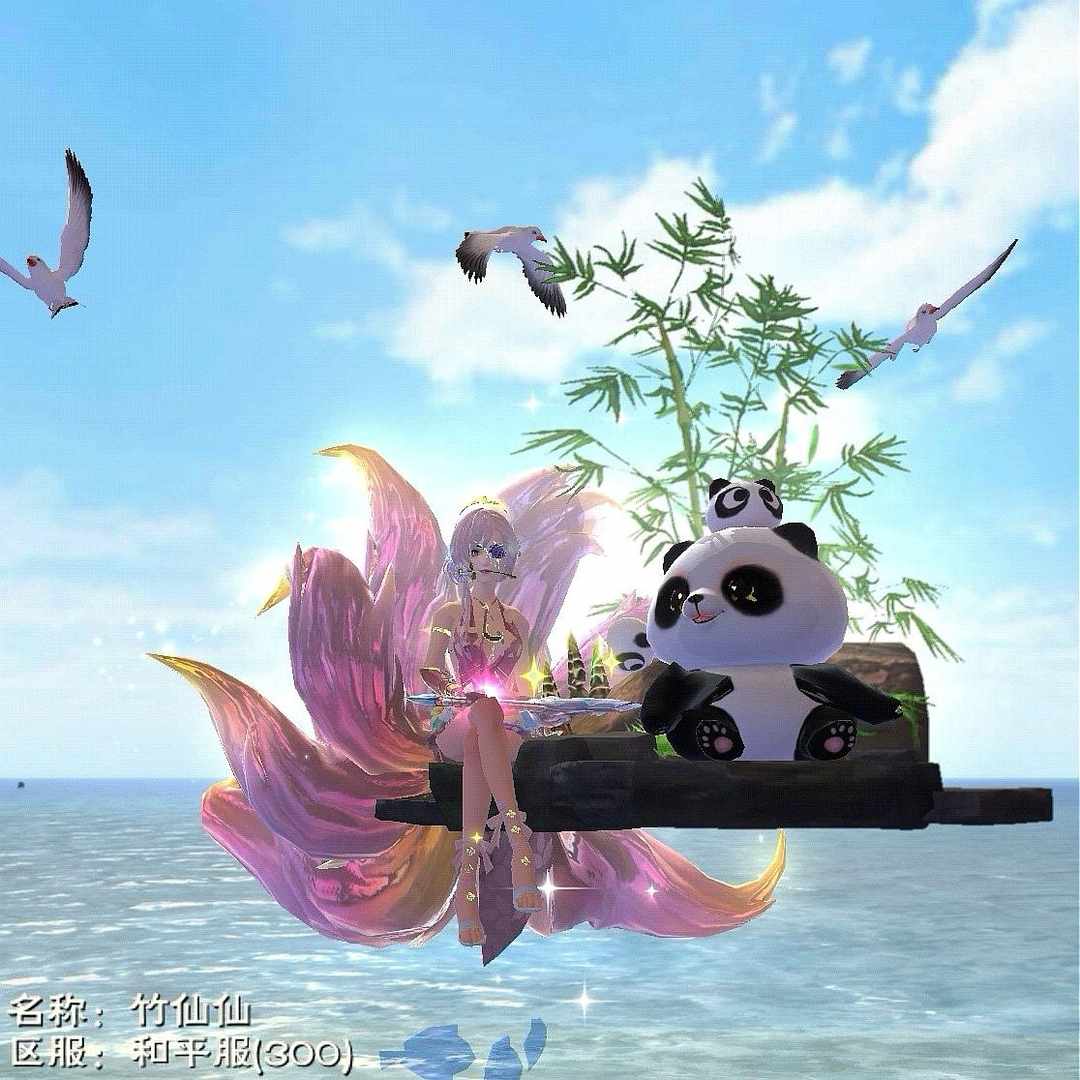 [图片]