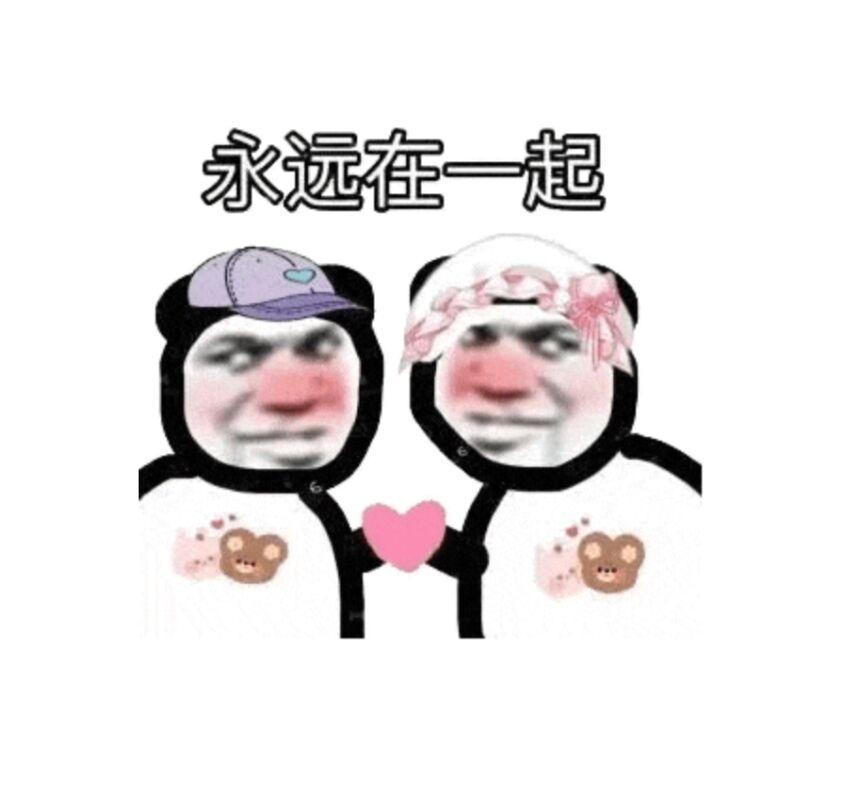 [图片]