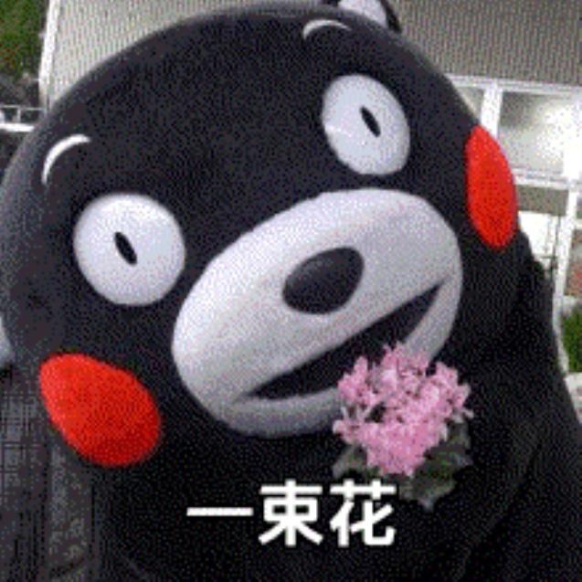 [图片]