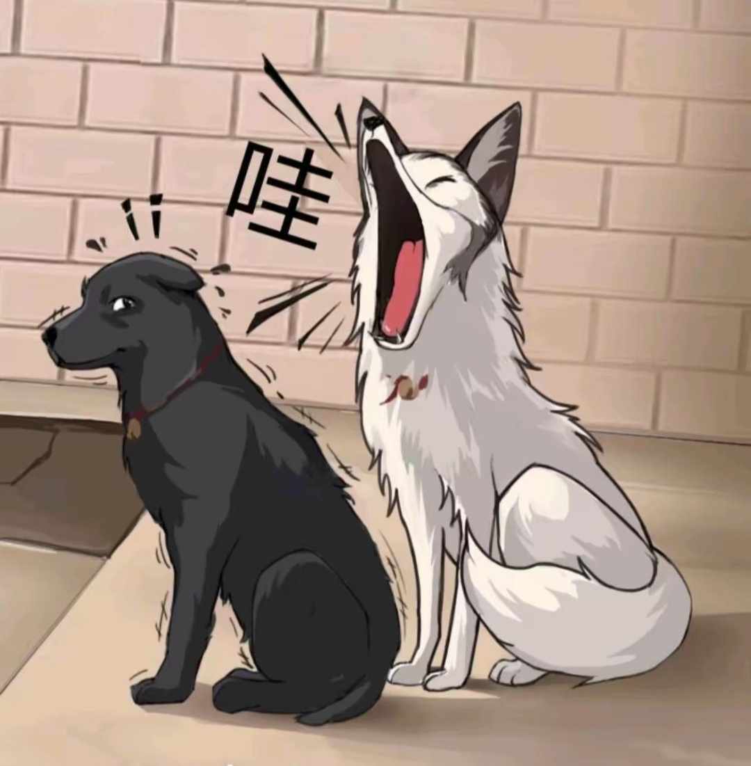 [图片]